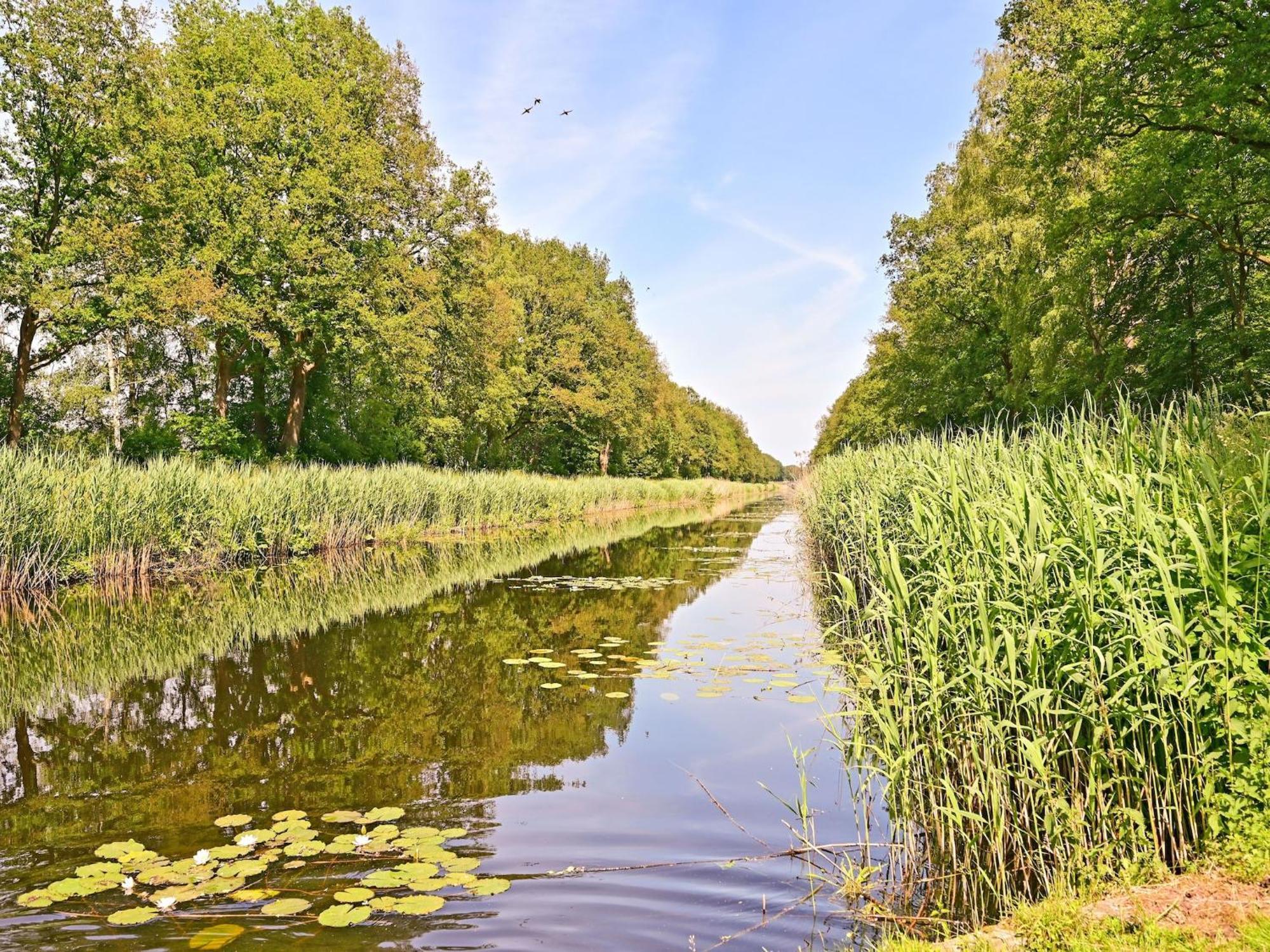 Chalet With Gorgeous View Of The Natural Surroundings Weerselo Buitenkant foto
