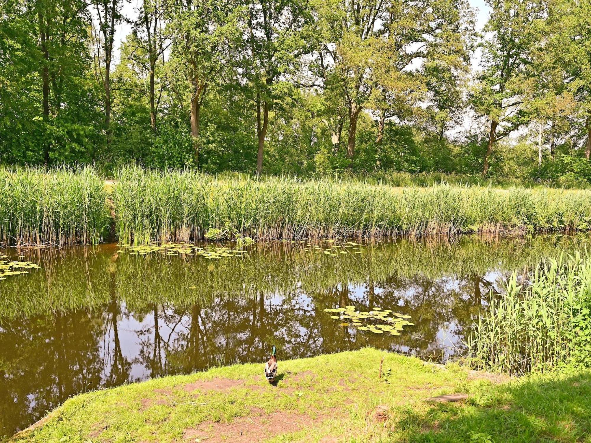 Chalet With Gorgeous View Of The Natural Surroundings Weerselo Buitenkant foto