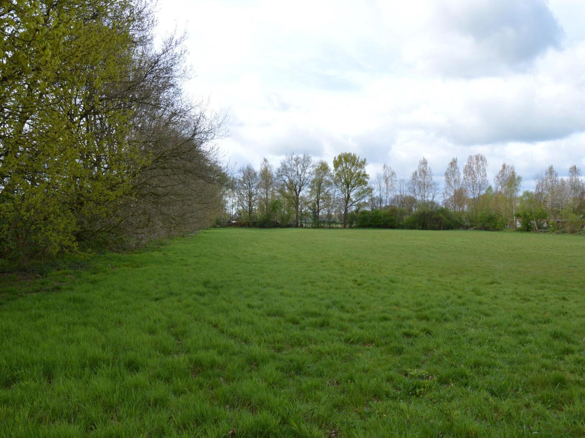 Chalet With Gorgeous View Of The Natural Surroundings Weerselo Buitenkant foto
